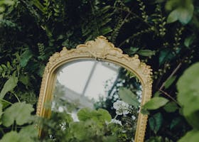 Elegant gold-framed mirror amidst lush, vibrant greenery reflecting the beauty of nature.